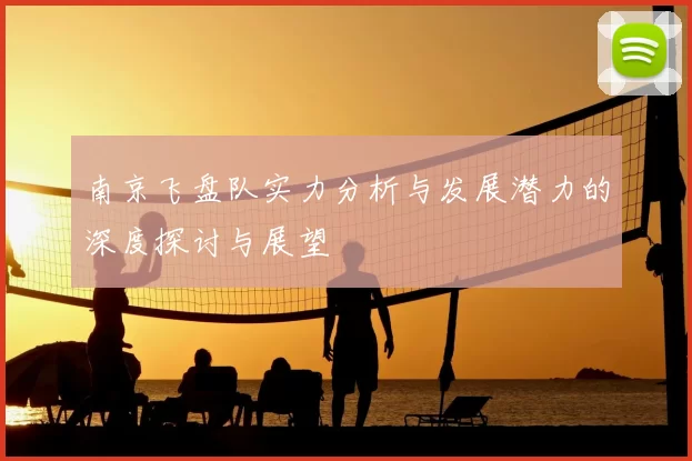 南京飞盘队实力分析与发展潜力的深度探讨与展望