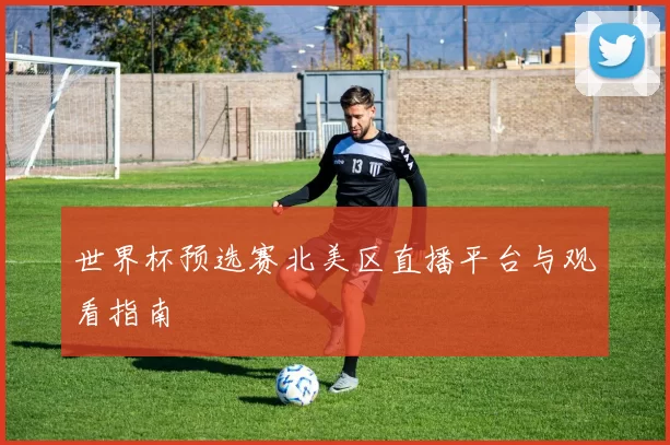 世界杯预选赛北美区直播平台与观看指南