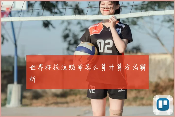 世界杯投注赔率怎么算计算方式解析