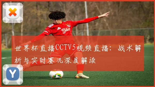 世界杯直播CCTV5视频直播：战术解析与实时赛况深度解读
