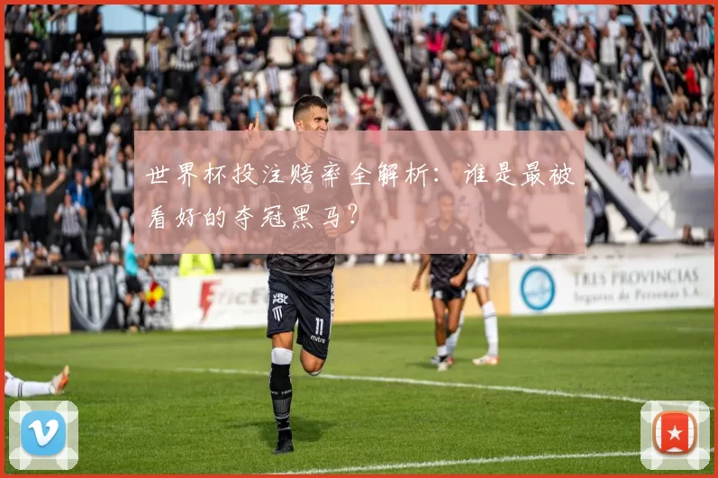 世界杯投注赔率全解析：谁是最被看好的夺冠黑马？
