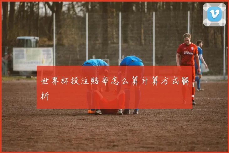 世界杯投注赔率怎么算计算方式解析