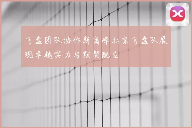 飞盘团队协作新高峰北京飞盘队展现卓越实力与默契配合
